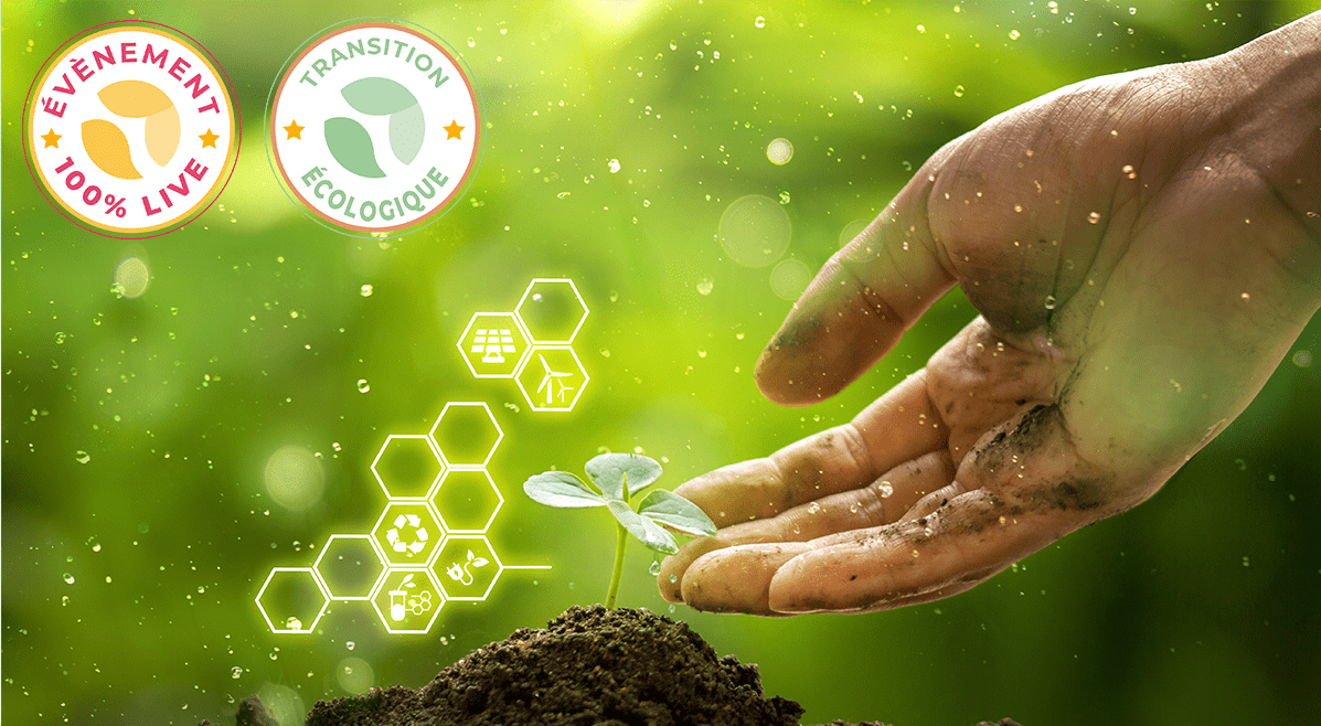 transition écologique et pédagogie